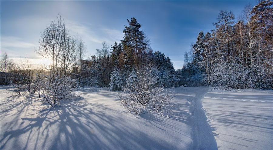Фото жизнь