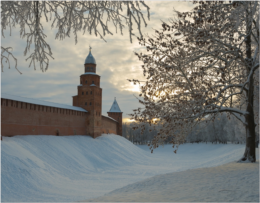 Фото жизнь