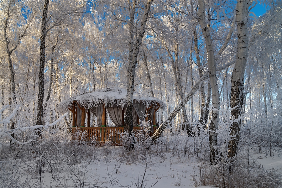 Фото жизнь