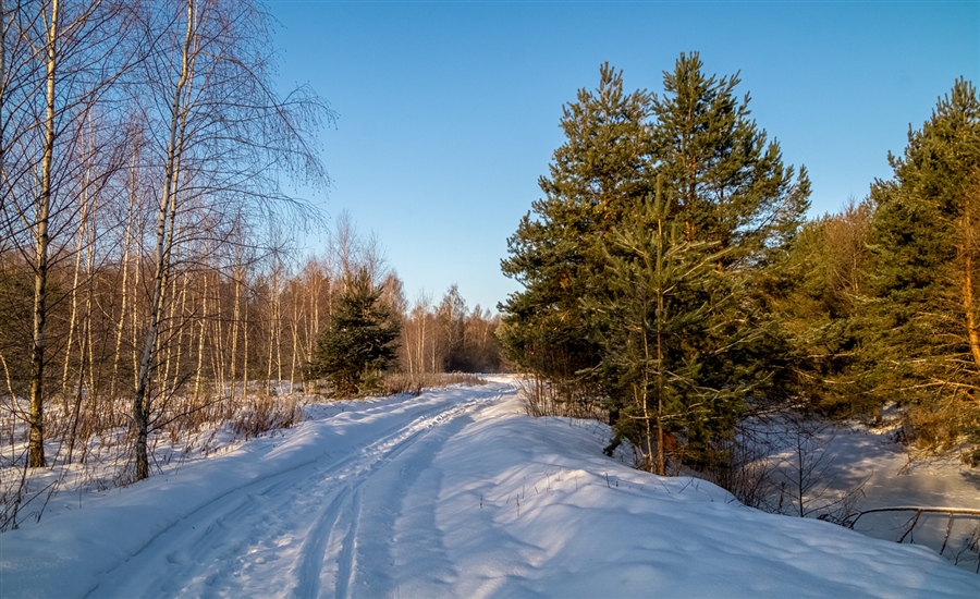 Фото жизнь