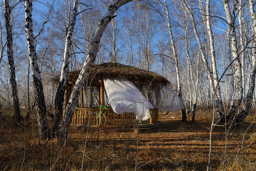Фото жизнь