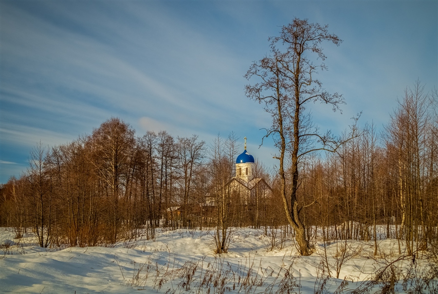 Фото жизнь