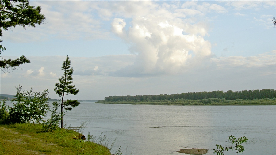 Фото жизнь
