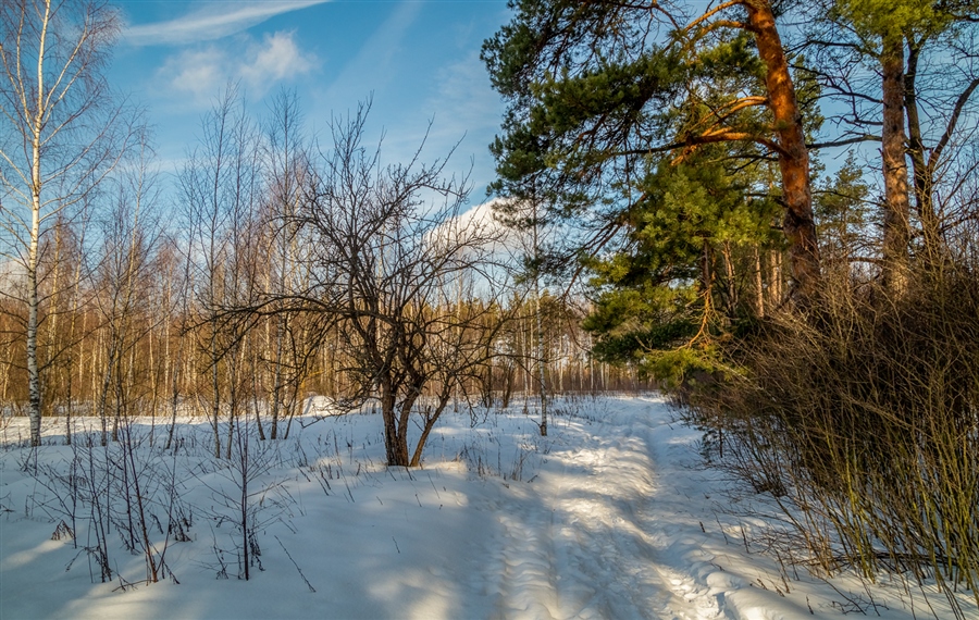 Фото жизнь