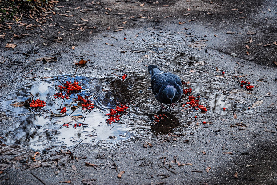 Фото жизнь