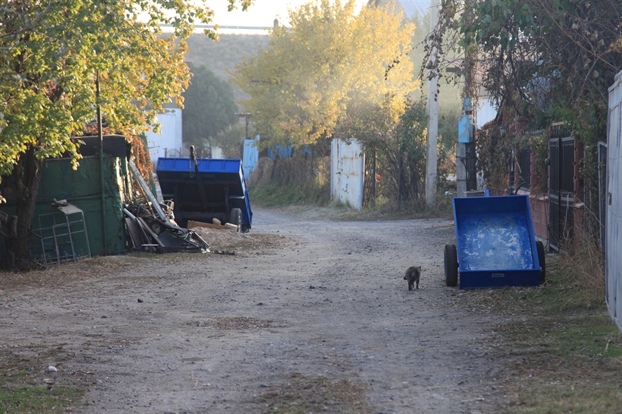 Фото жизнь