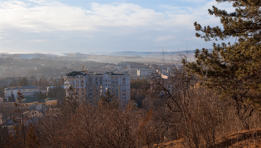 Фото жизнь