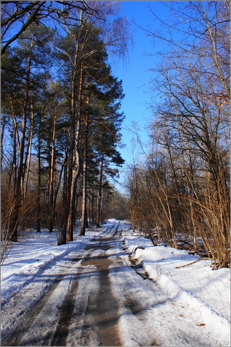 Фото жизнь