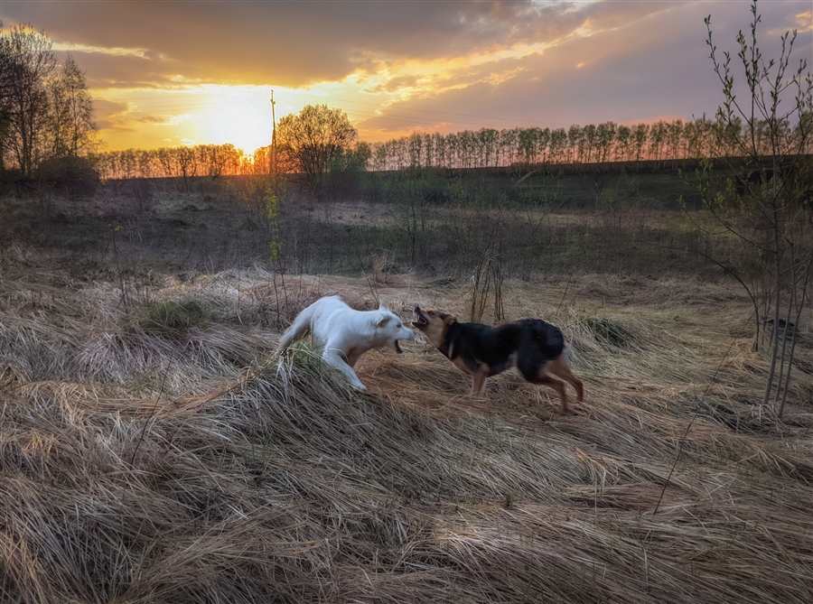 Фото жизнь