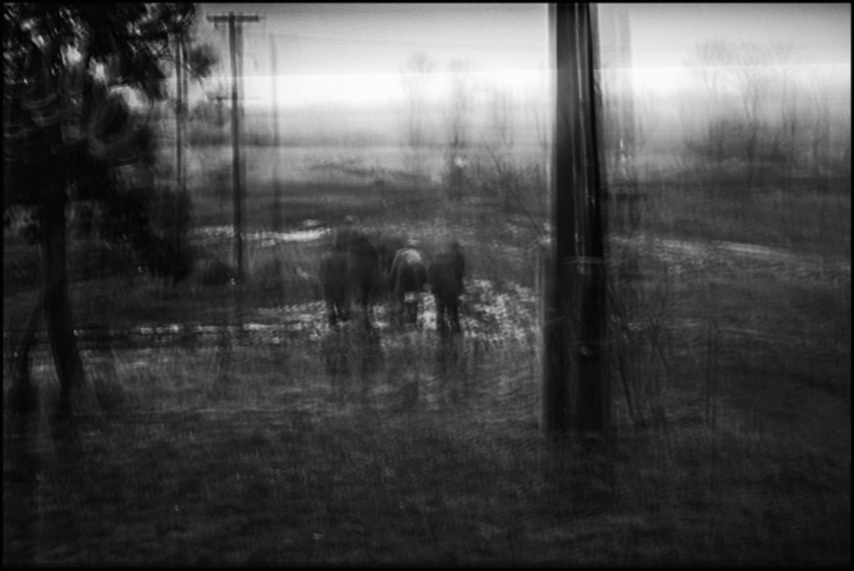 Фото жизнь (light) - shadow77 - НЕЧТО - :::