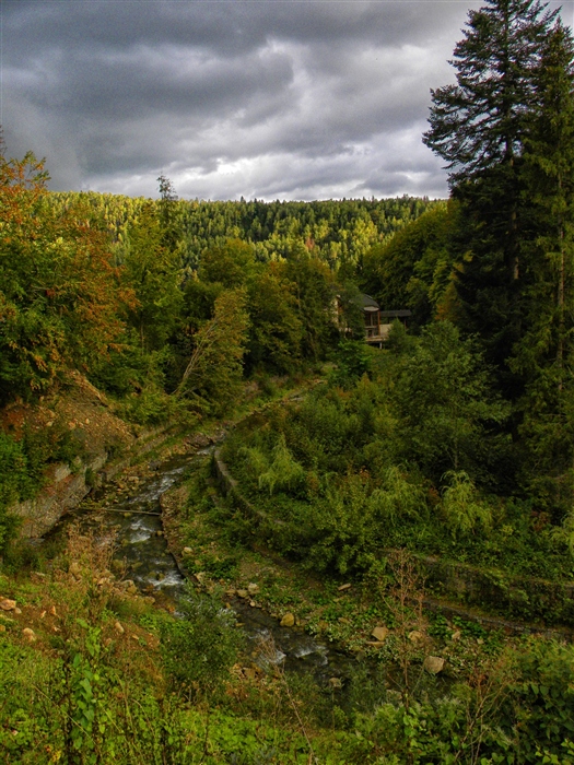 Фото жизнь