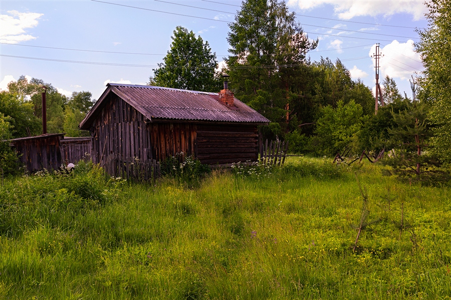 Фото жизнь