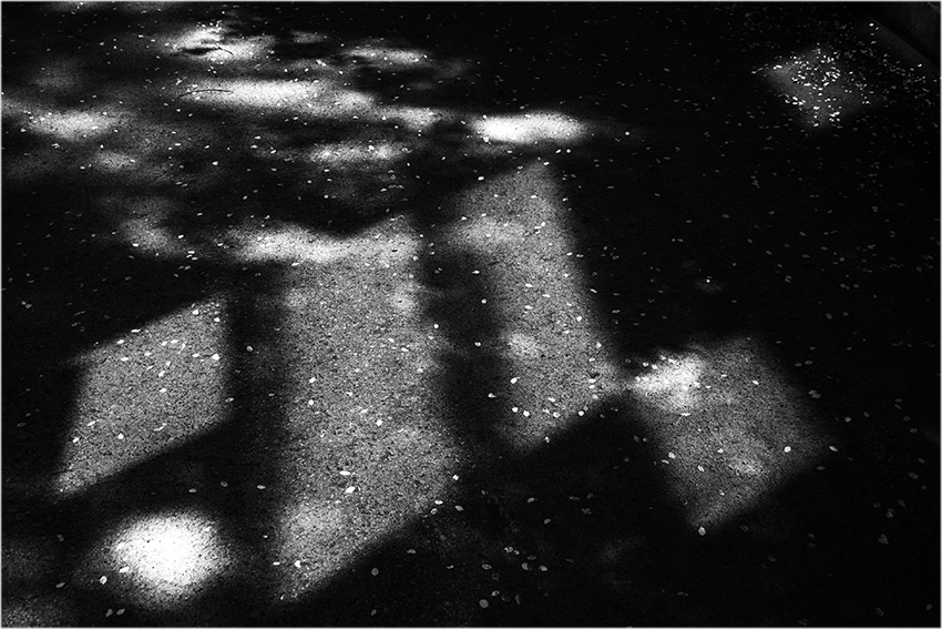 Фото жизнь (light) - shadow77 - XXII - 4