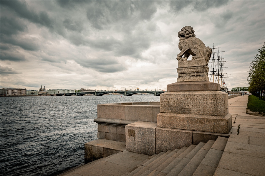 Фото жизнь