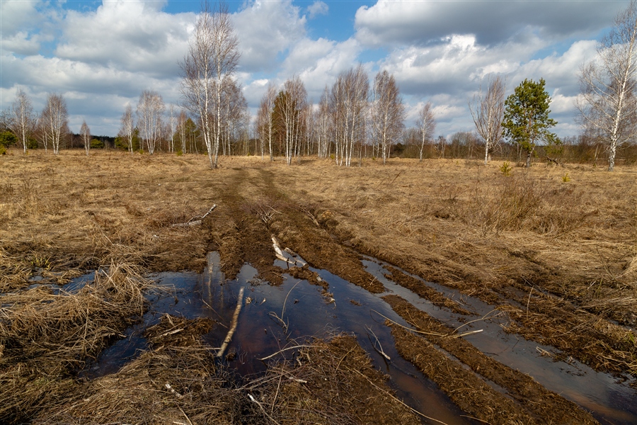 Фото жизнь