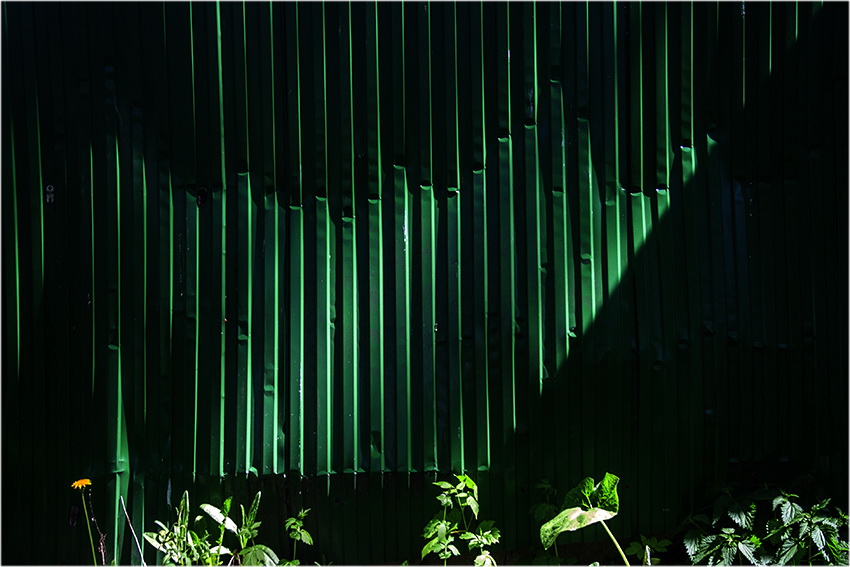 Фото жизнь (light) - shadow77 - XX - *