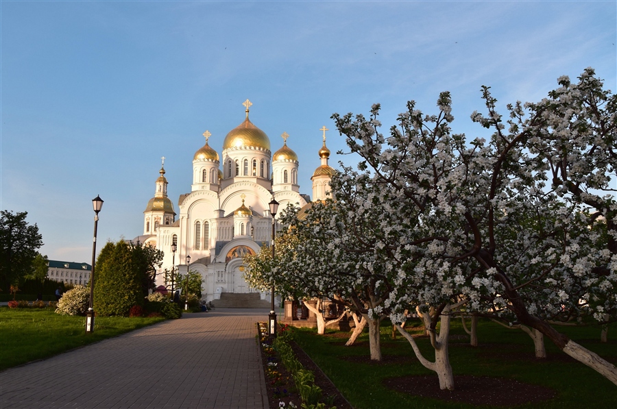 Фото жизнь