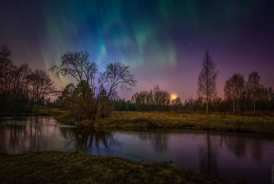 Фото жизнь