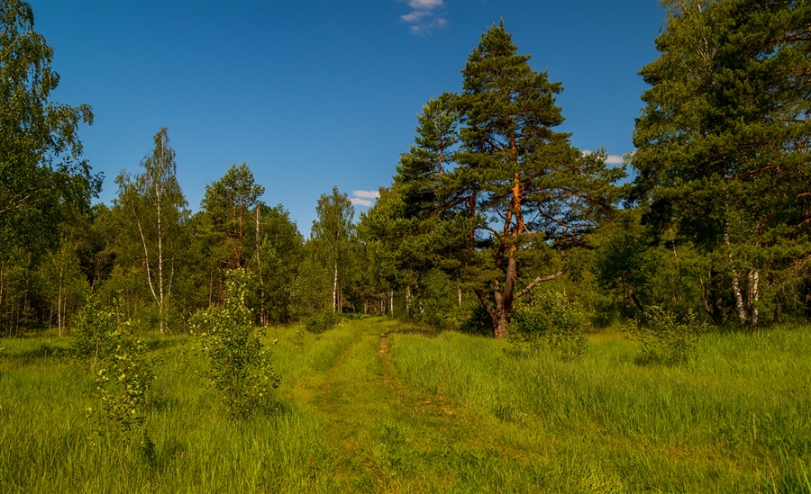 Фото жизнь