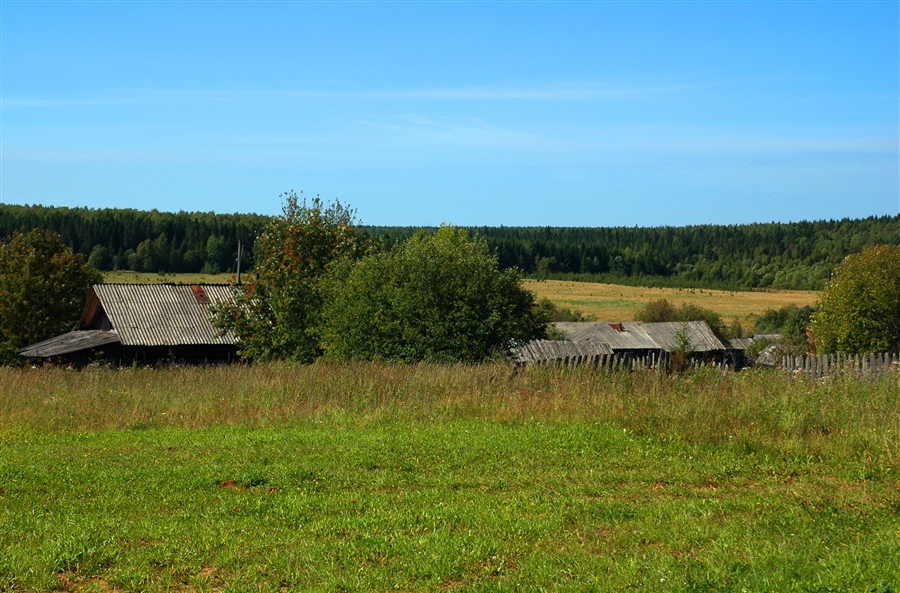 Фото жизнь