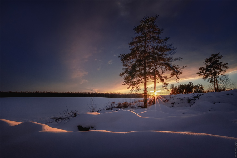 Фото жизнь