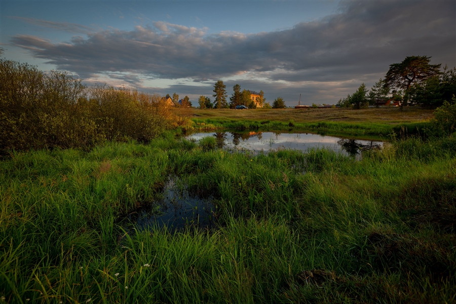 Фото жизнь