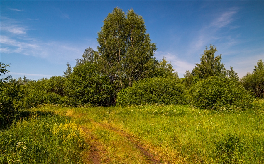 Фото жизнь