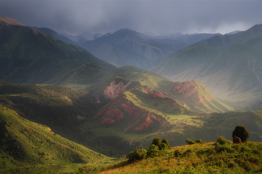 Фото жизнь