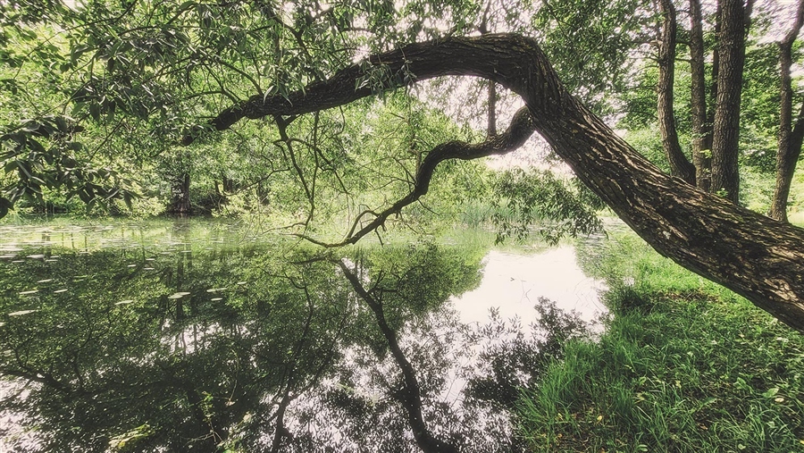 Фото жизнь