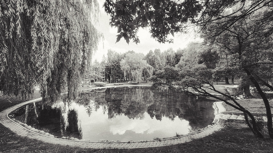 Фото жизнь