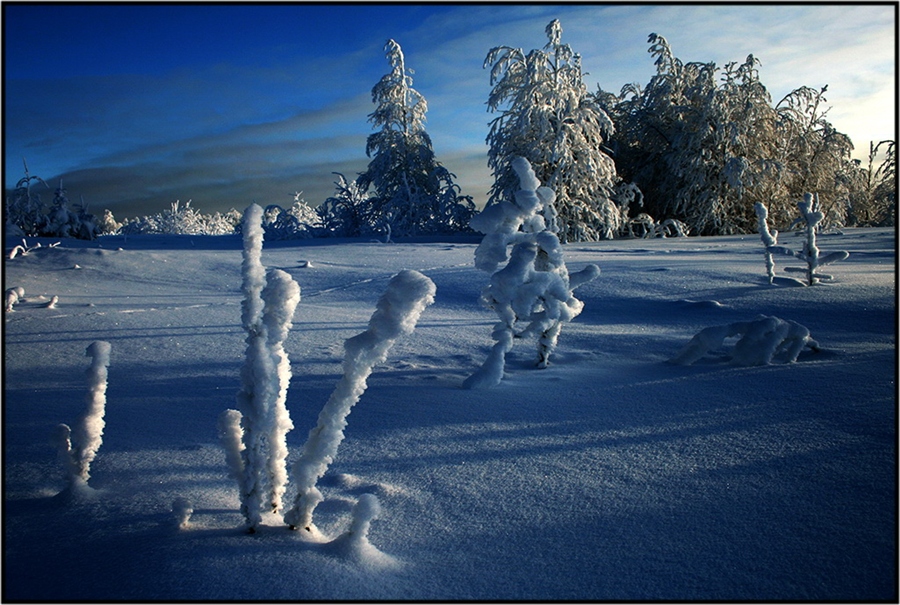 Фото жизнь
