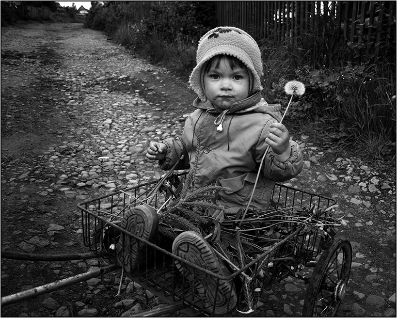 Фото жизнь (light) - Mityok59 - РОДНИКИ МОИ... - "Одуванчик"