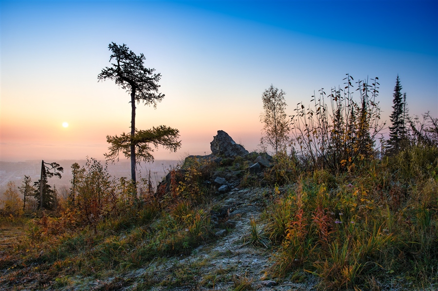 Фото жизнь