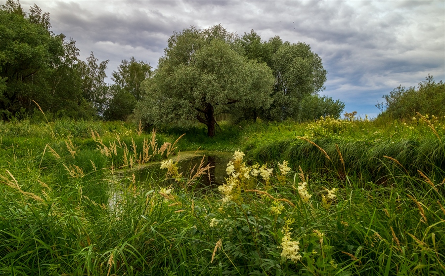 Фото жизнь