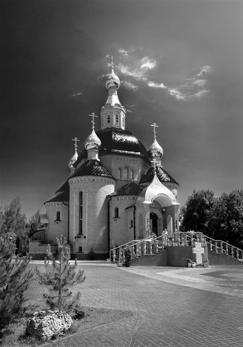 Фото жизнь