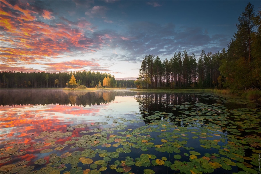 Фото жизнь