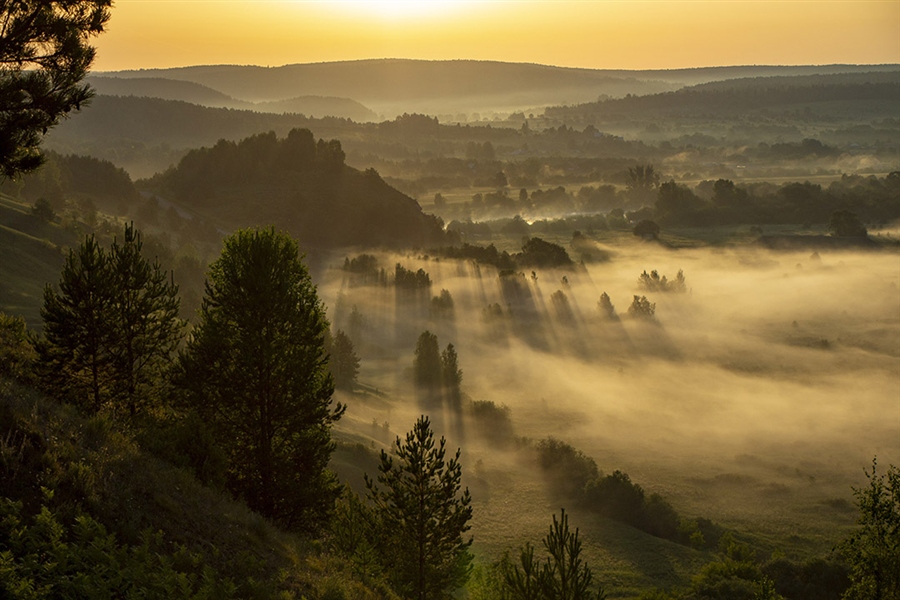 Фото жизнь