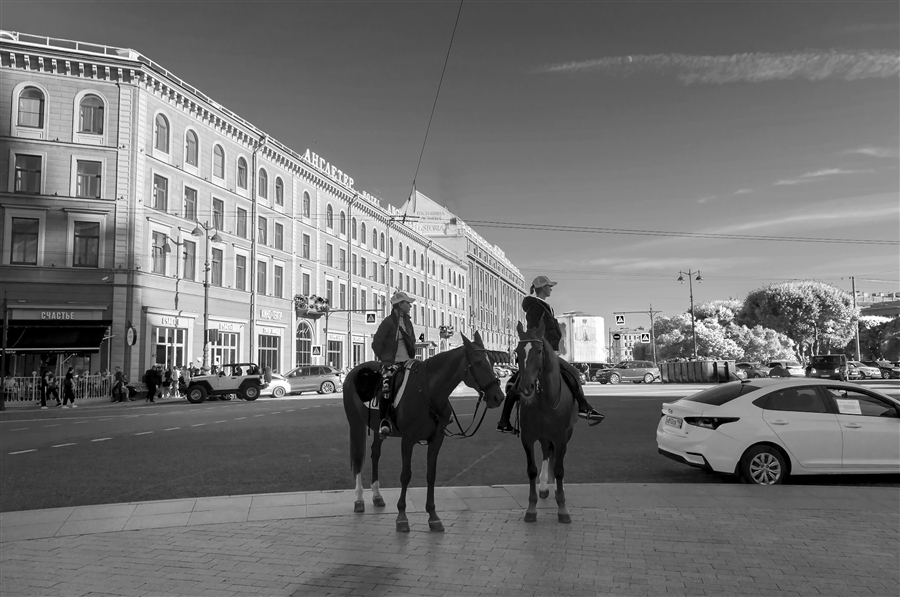 Фото жизнь