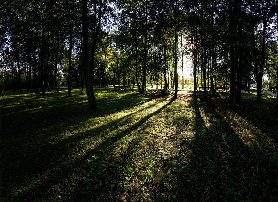 Фото жизнь