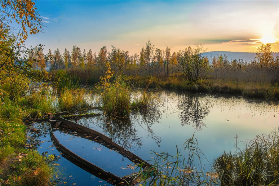 Фото жизнь