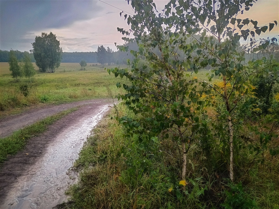 Фото жизнь