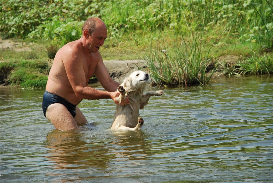 человек собаке друг