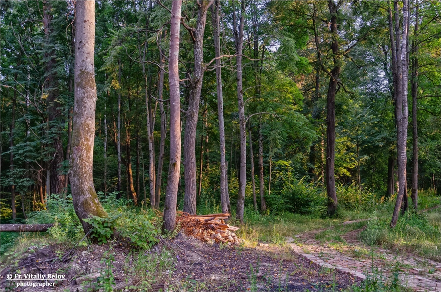 Фото жизнь