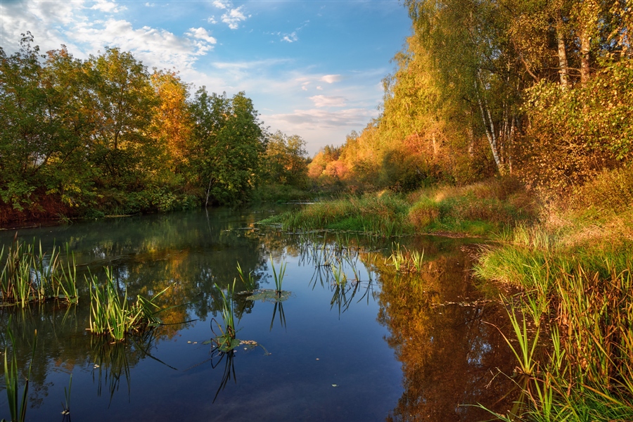 Фото жизнь