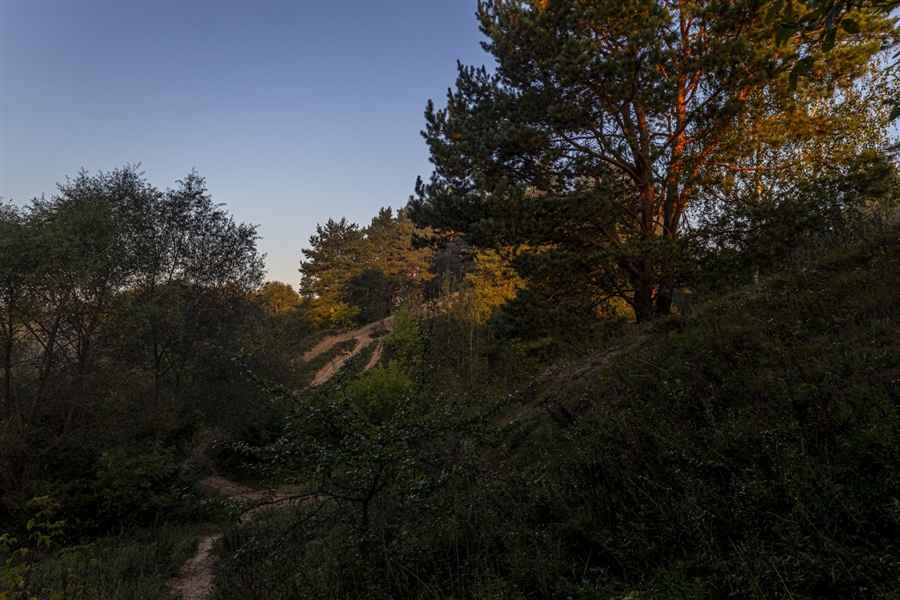 Фото жизнь