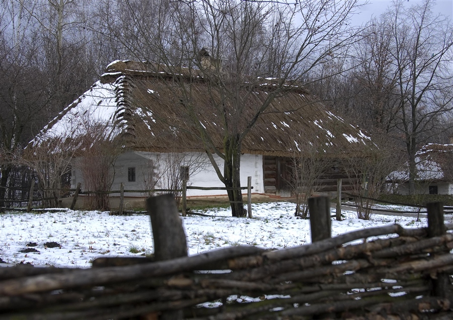 Фото жизнь
