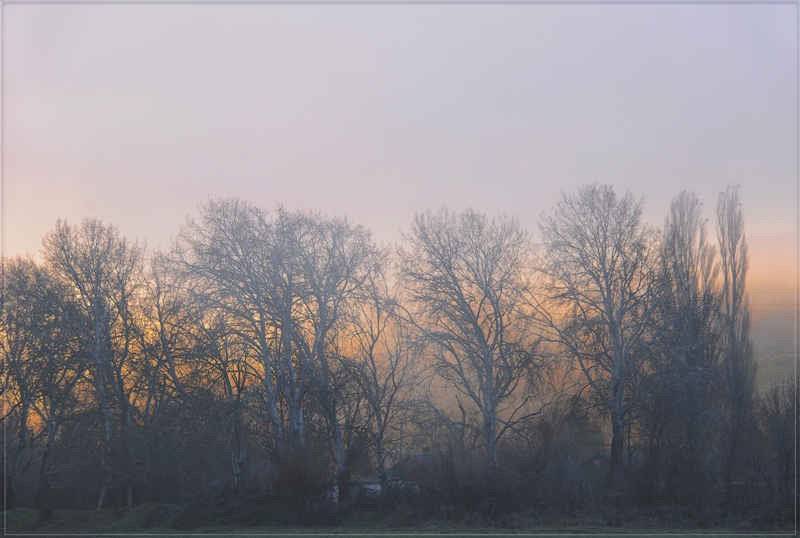 Фото жизнь - Marishka - корневой каталог - Сиреневый туман...