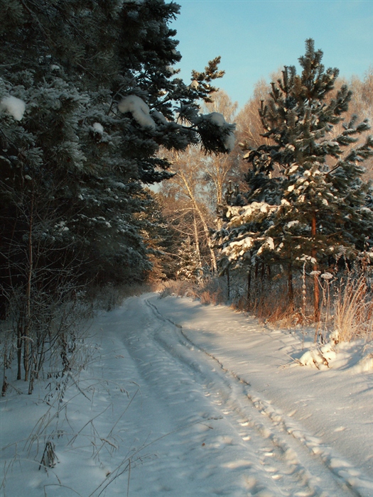 Фото жизнь