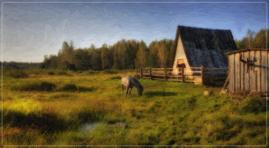 Фото жизнь