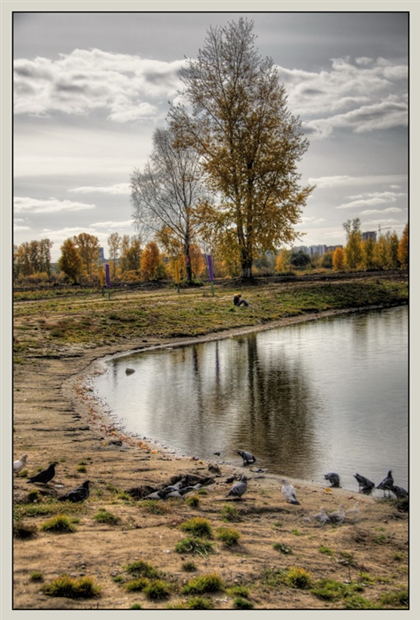 Фото жизнь